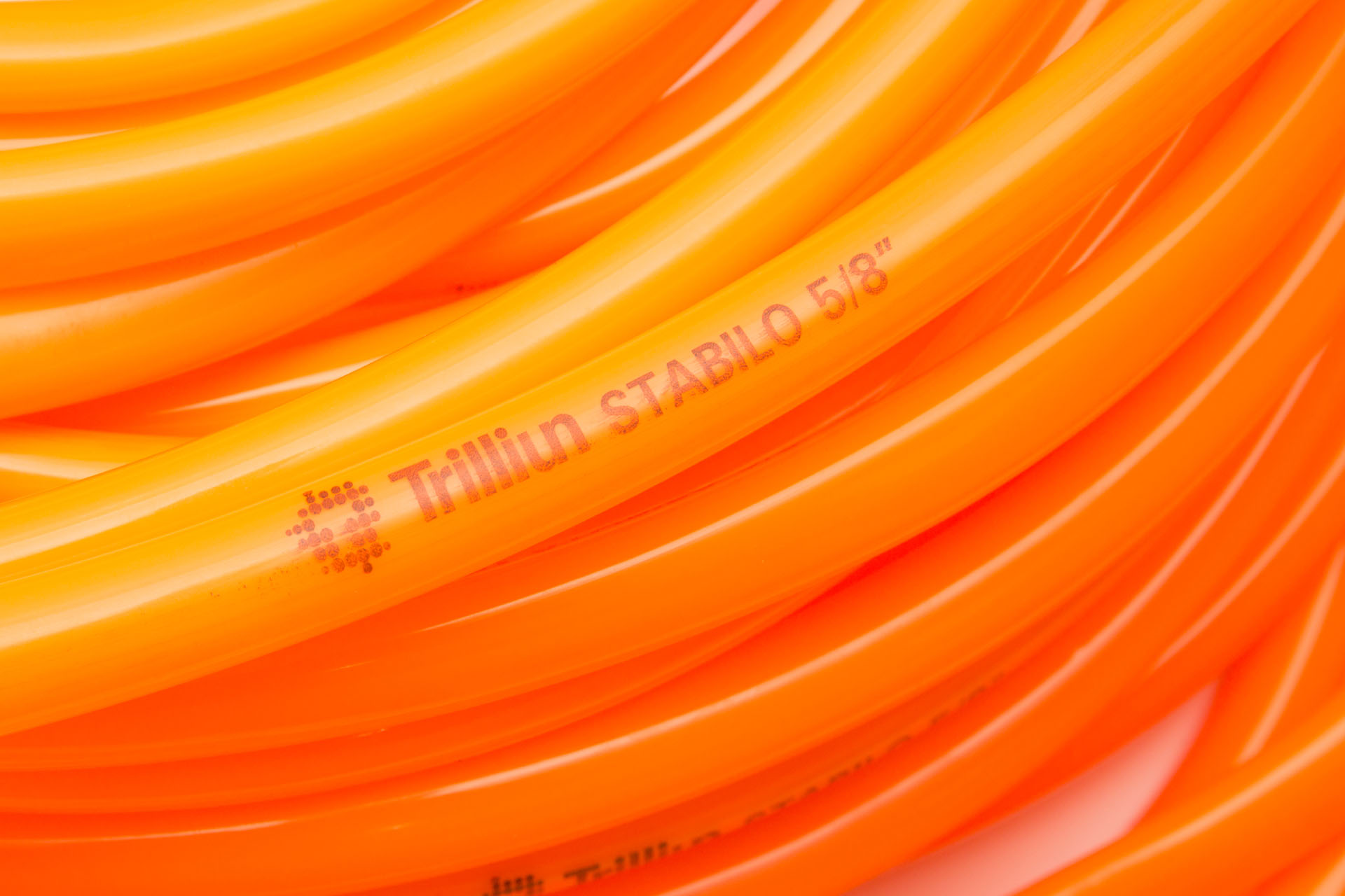 Product Spotlight